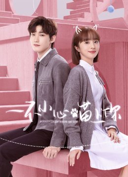 一不小心喵上你