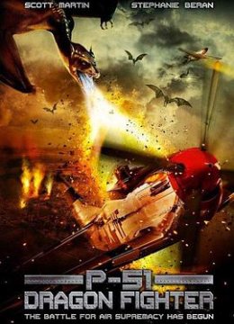 P51大战纳粹飞龙