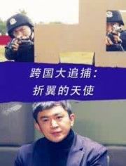 跨国大追捕折翼的天使