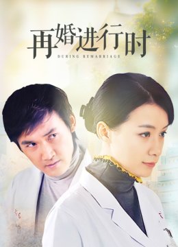 再婚进行时