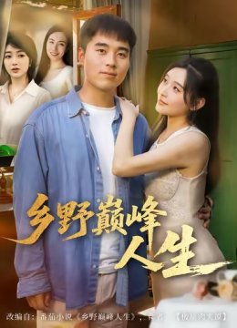 乡野巅峰人生