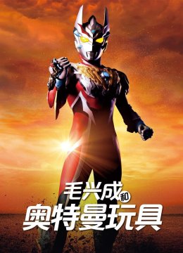 毛兴成和奥特曼玩具