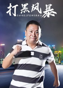 打黑风暴