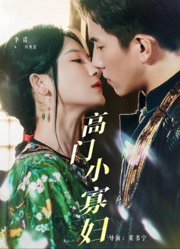 高门小寡妇