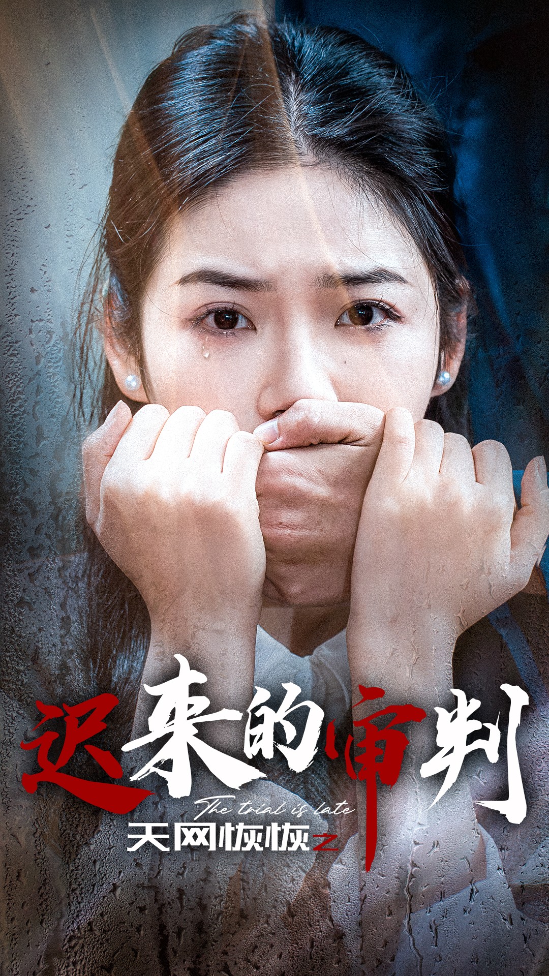 天网恢恢之迟来的审判