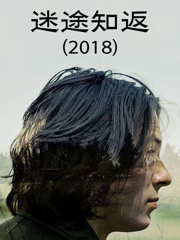 迷途知返2018