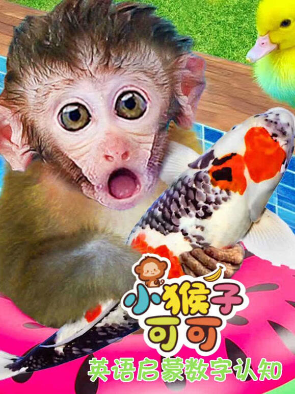 小猴子可可英语语启蒙数字认知