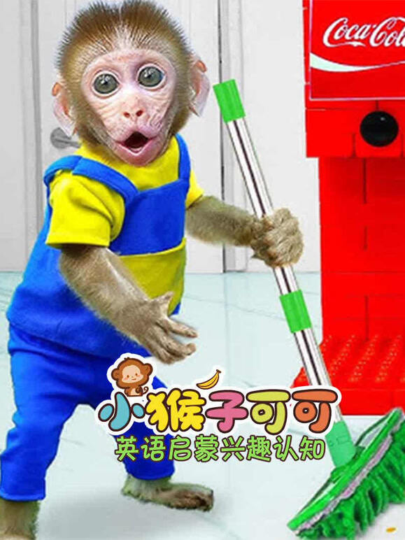 小猴子可可英语语启蒙兴趣认知