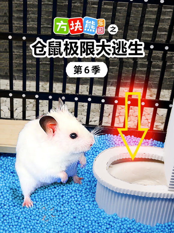 方块熊乐园之仓鼠极限大逃生第6季