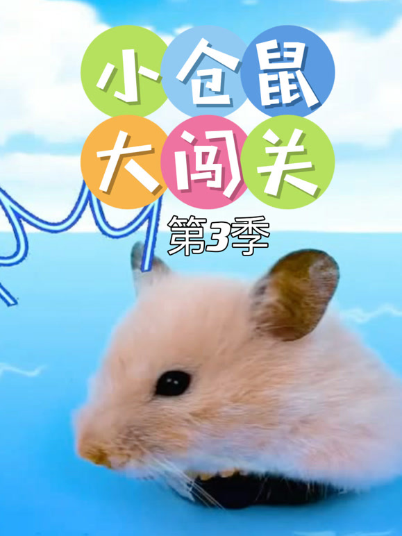 小仓鼠大闯关第3季