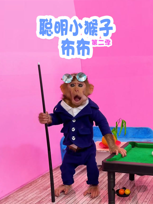 聪明小猴子布布第2季