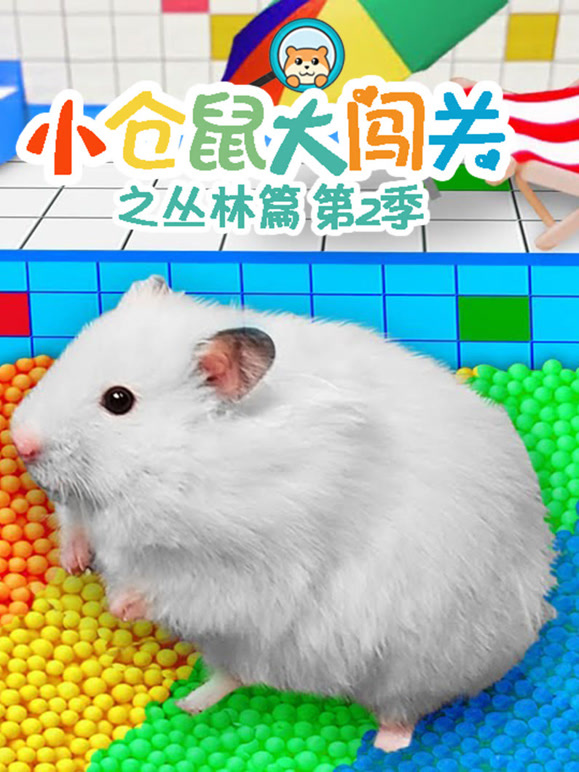小仓鼠大闯关之丛林篇第2季