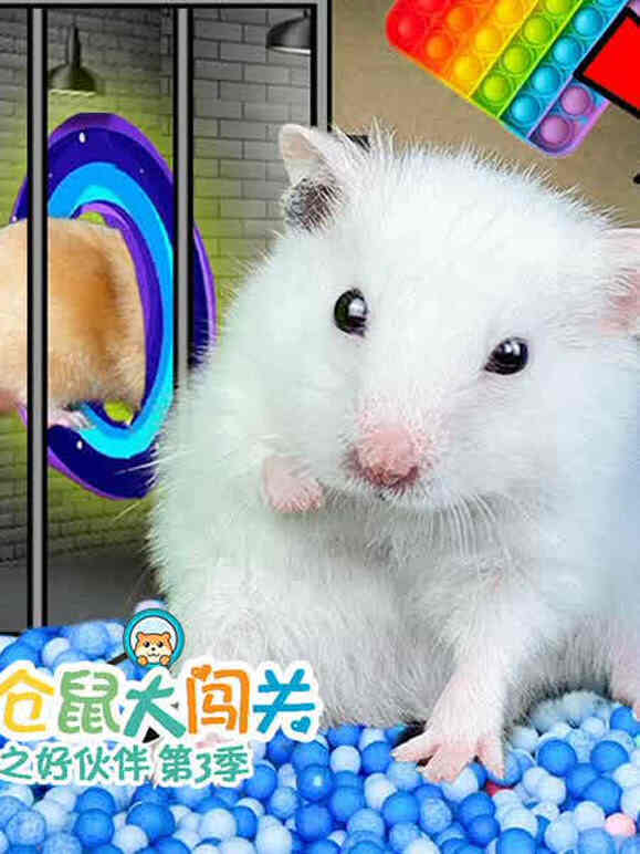 小仓鼠大闯关之好伙伴第3季