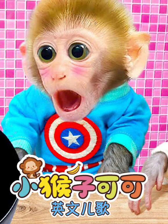 小猴子可可英语文儿歌