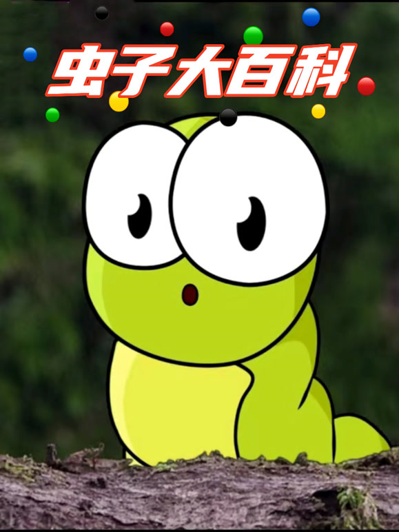 虫子大百科