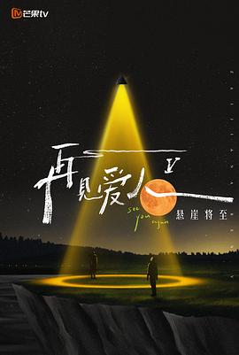 再见爱人第5季