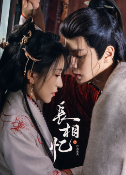 长相忆之灯冶未央