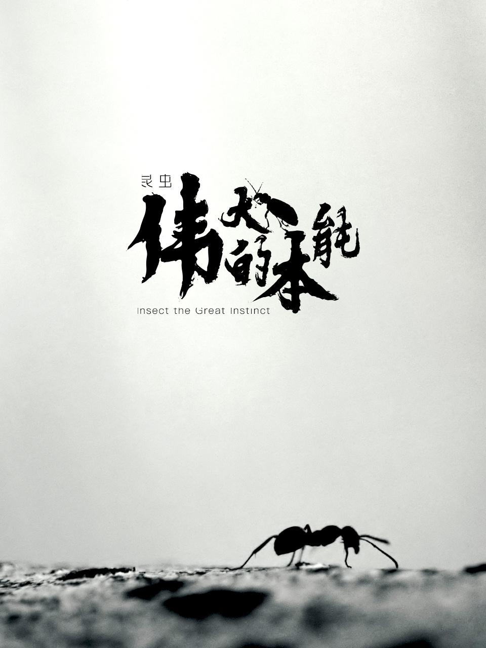 昆虫伟大的本能