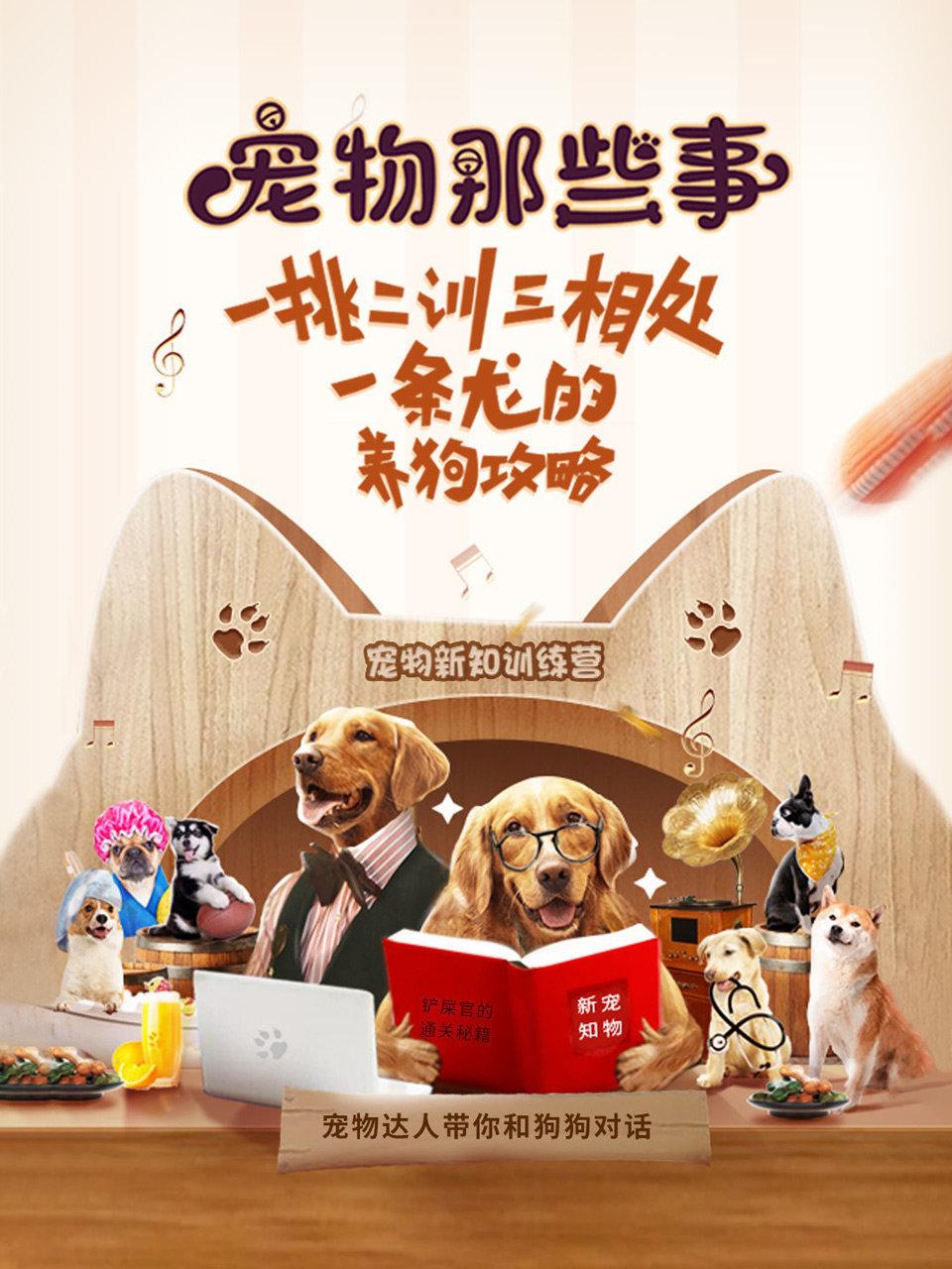 宠物那些事一挑二训三相处一条龙的养狗攻略