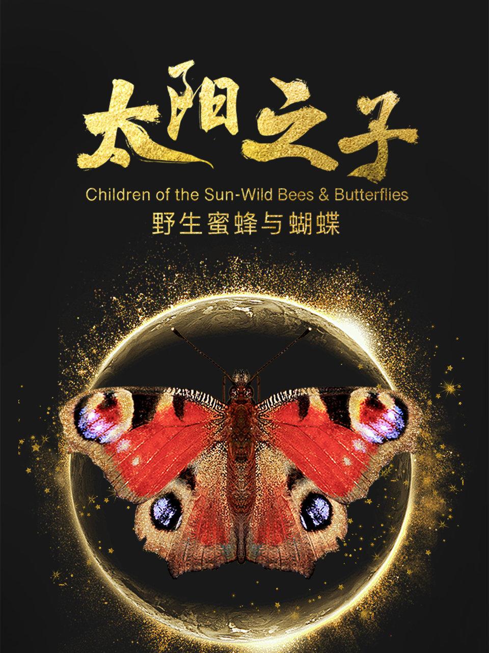 太阳之子野生蜜蜂与蝴蝶