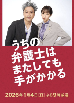 我家的律师又惹麻烦了