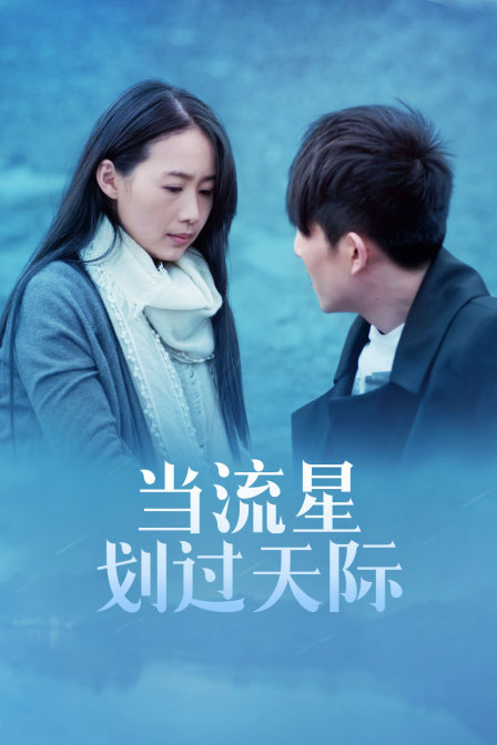 当流星划过天际