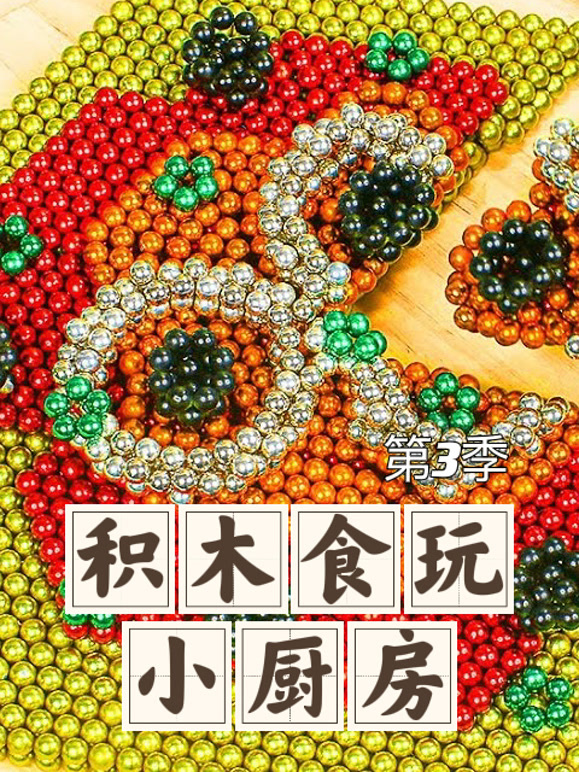 积木食玩小厨房第3季