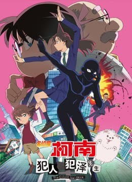 名侦探柯南犯人犯泽先生版