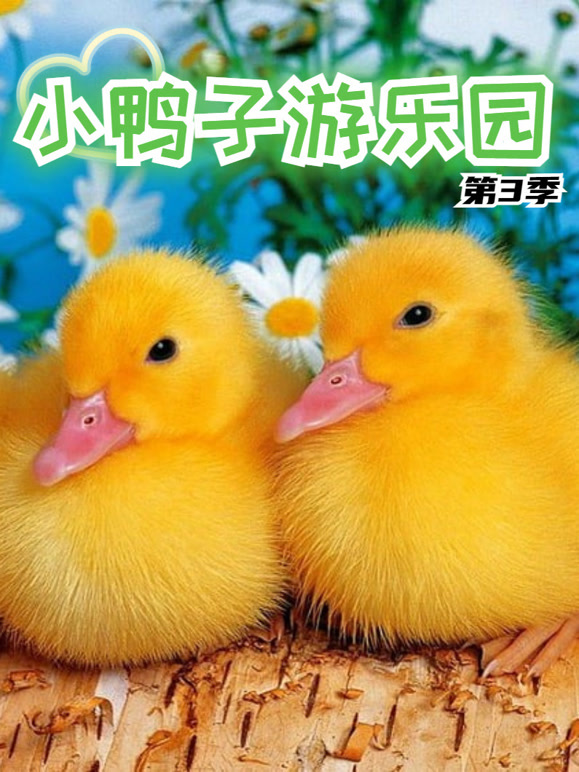 小鸭子游乐园第3季