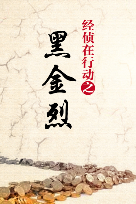 经侦在行动之黑金烈