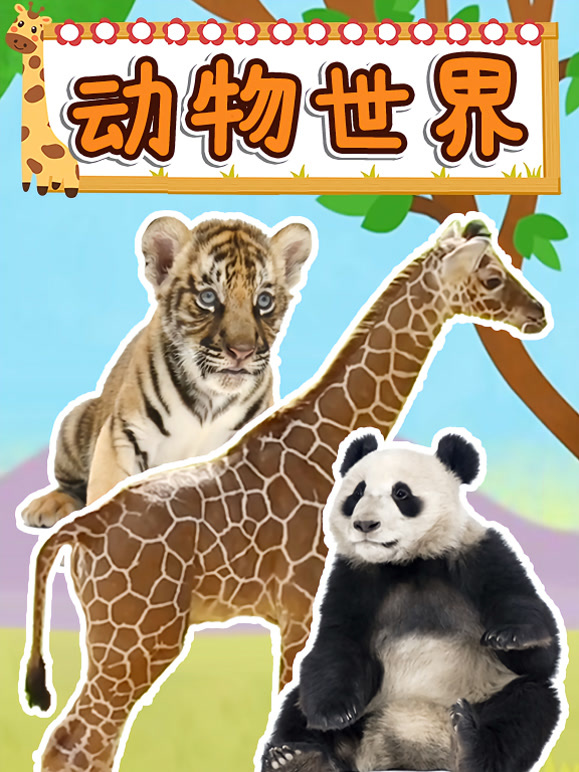 动物世界