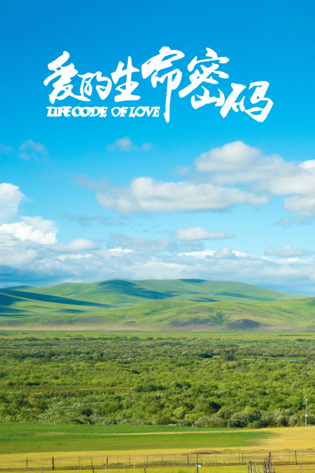 爱的生命密码