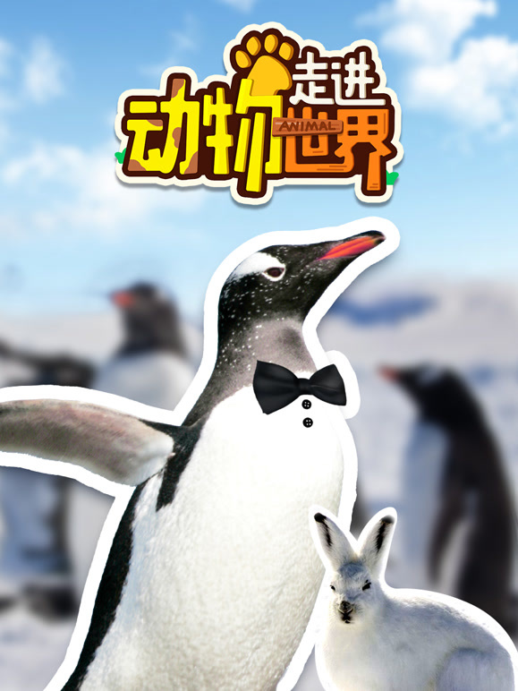 走进动物世界
