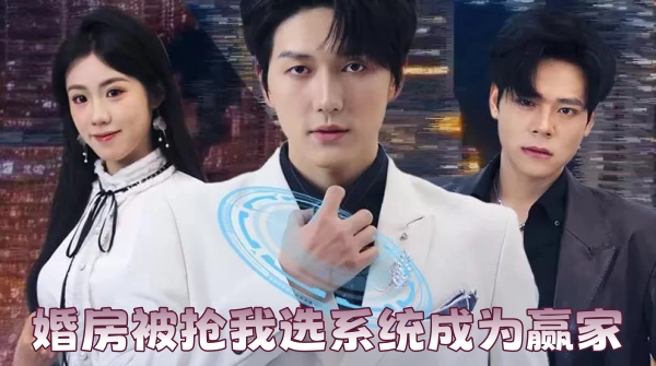 婚房被抢我选系统成为赢家