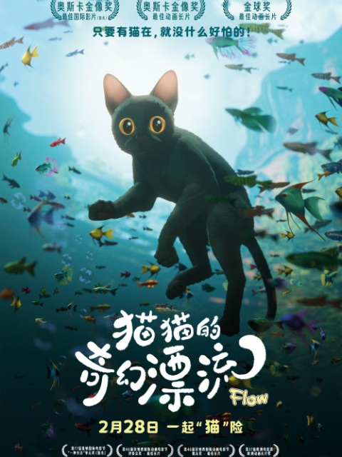 猫猫的奇幻漂流