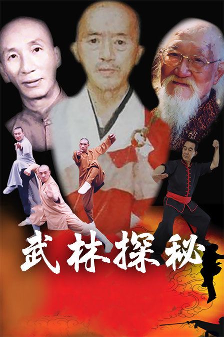 武林探秘