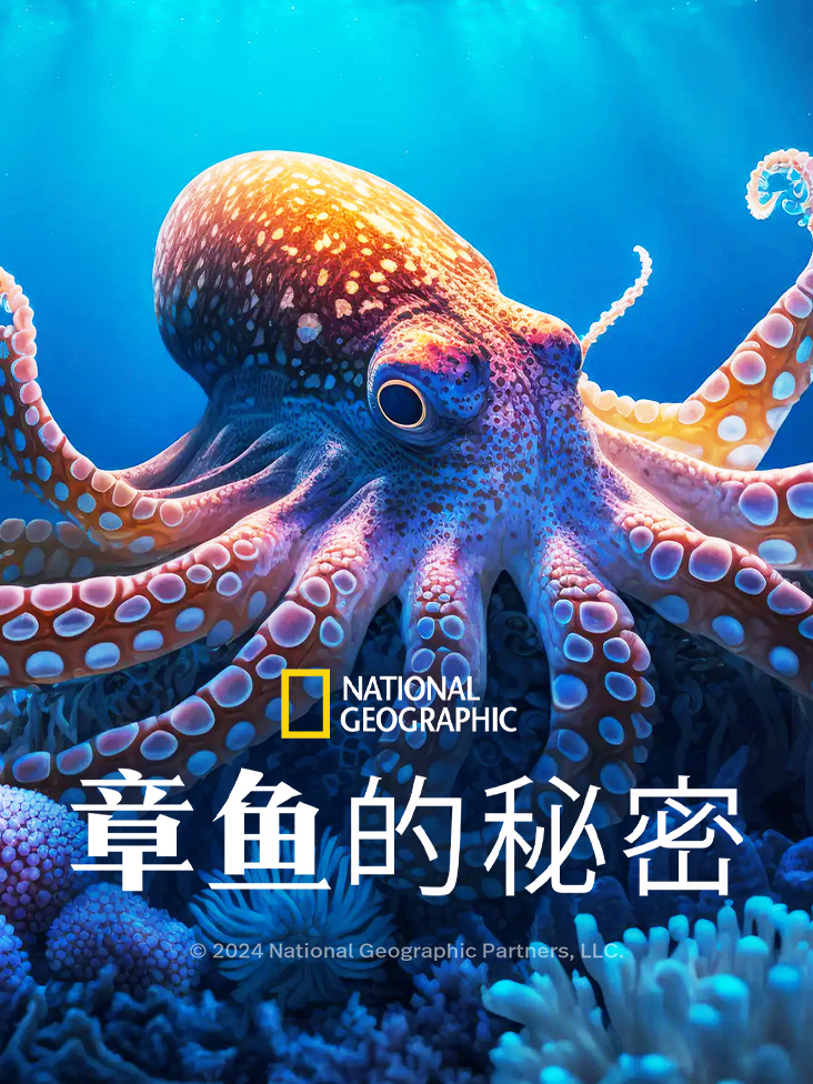 章鱼的秘密
