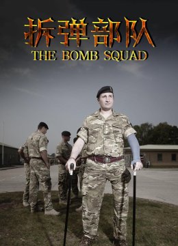 拆弹部队