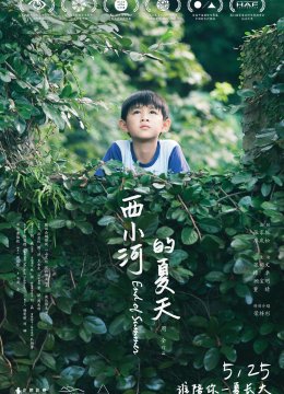 西小河的夏天