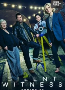 无声的证言第二十九季