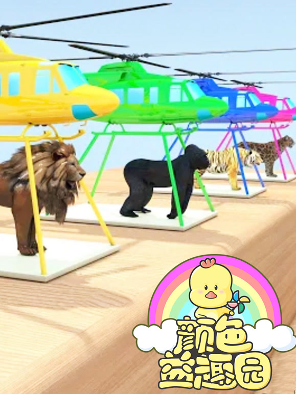 颜色益趣园第9季