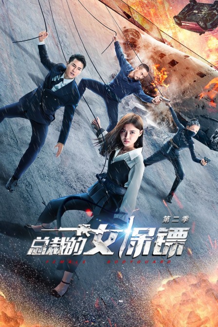 总裁的女保镖第2季