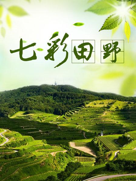 七彩田野