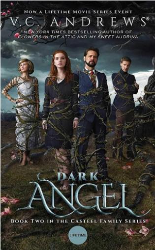 暗黑天使DarkAngel