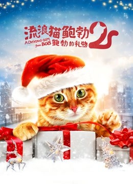 流浪猫鲍勃2鲍勃的礼物版