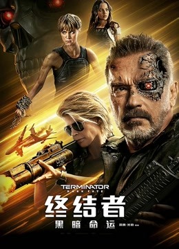 终结者黑暗命运版