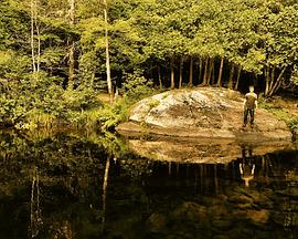 混沌行走混沌漫步