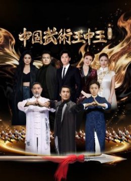 大陆武术王中王第2季