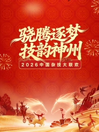 河南卫视2026大陆杂技大联欢