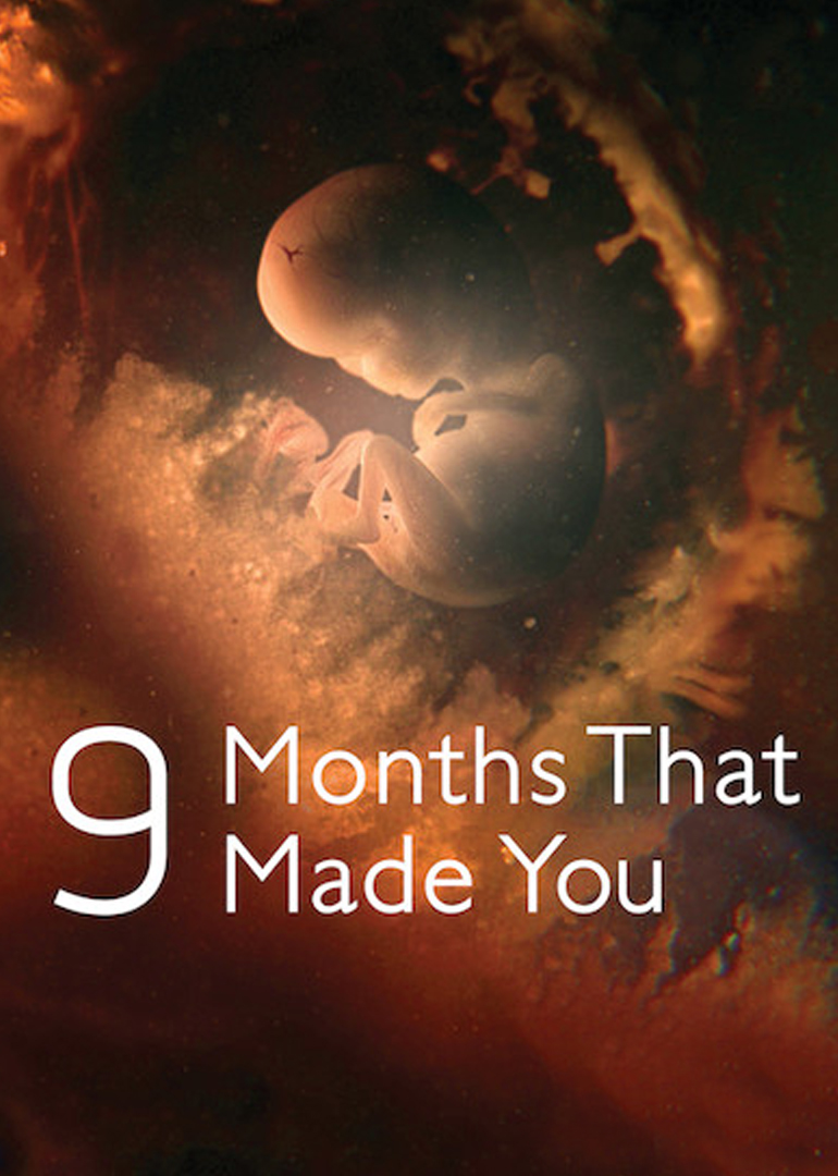 九月怀胎